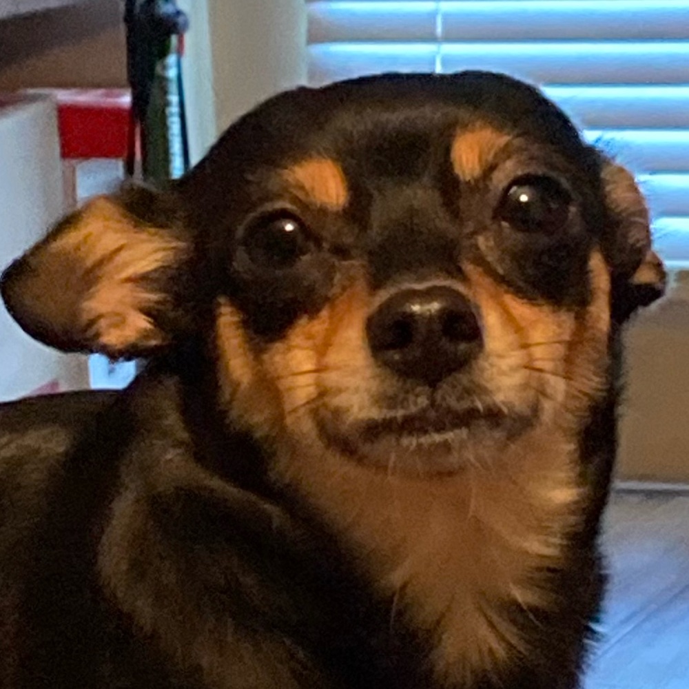 Meet your Posher, Samantha